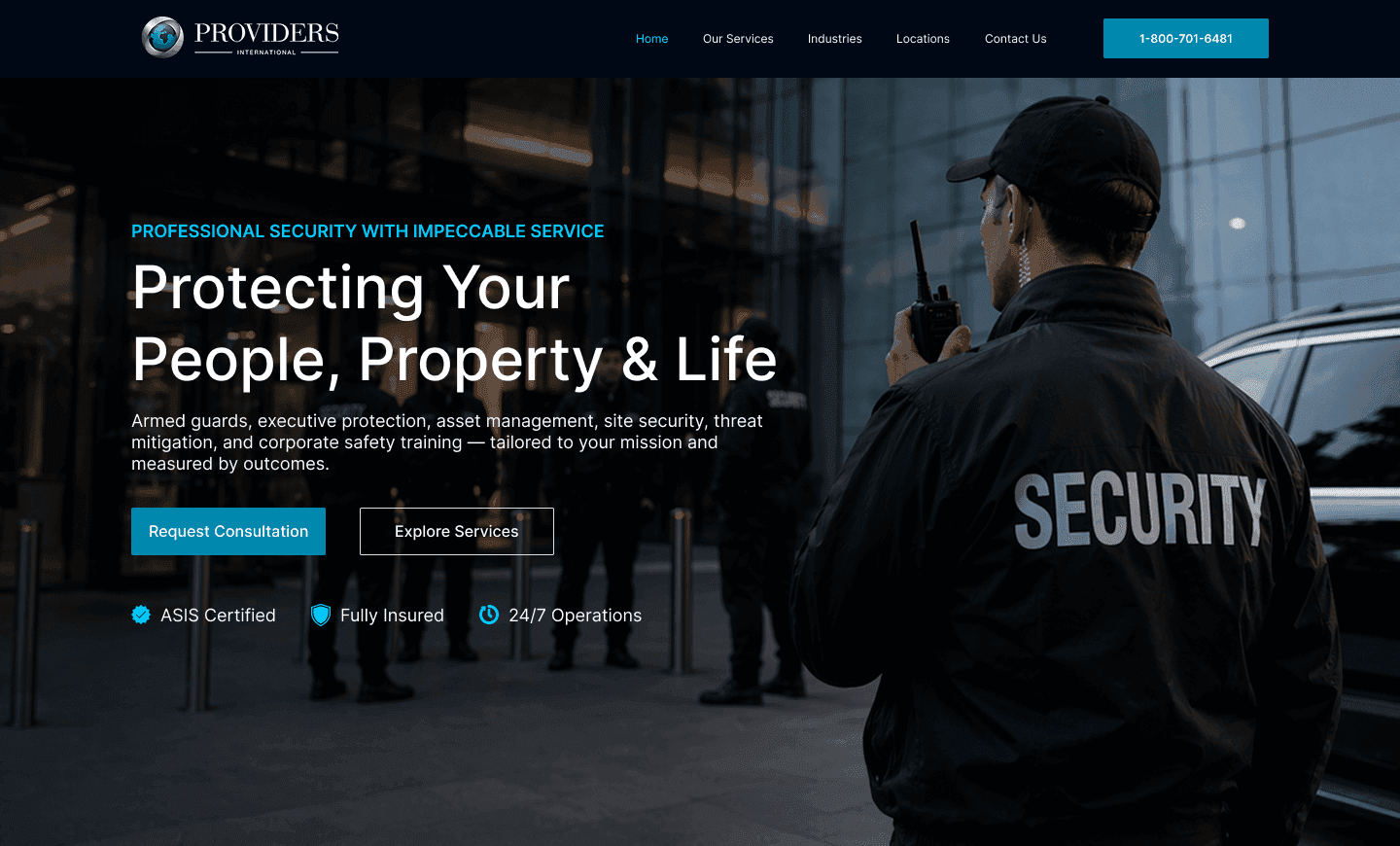Proivder International Services project preview